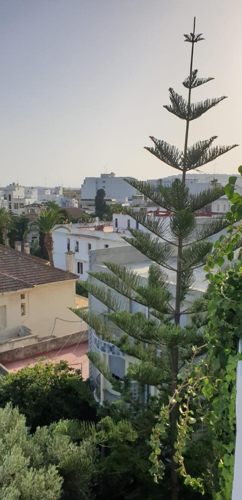 Guesthouse Kasbah Old Medina Tanger Dış mekan fotoğraf